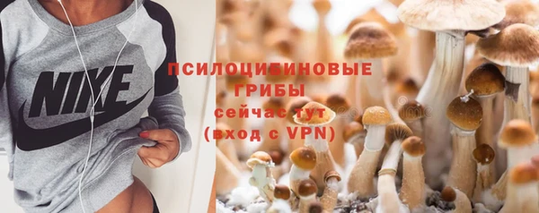 бутират Медногорск